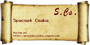 Spacsek Csaba névjegykártya